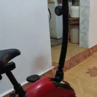 دوچرخه ثابت برند پاندا|تجهیزات ورزشی|گنبد کاووس, |دیوار