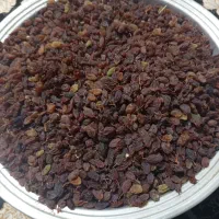 کشمش|خوردنی و آشامیدنی|چیتاب, |دیوار