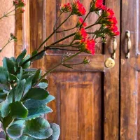 اجاره روزانه اتاق های اقامتگاه