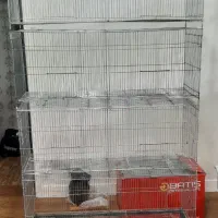 ۲ دست قفس پرون