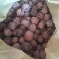 گردودرجه‌یک‌سمت‌بقمچ‌بلوارتوس‌۳۰۰کیلو|خوردنی و آشامیدنی|مشهد, امیرآباد|دیوار