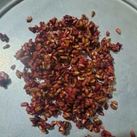 ناردونه  قرمز تازه