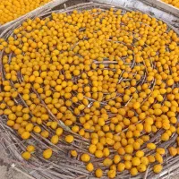 الو|خوردنی و آشامیدنی|تویسرکان, |دیوار