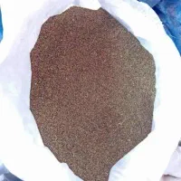 تخم شبدر تمیز درجه ۱