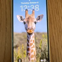 Iphone13 ۲۵۶ zaa دوسیم کارت