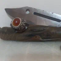 شاخ|کلکسیون و سرگرمی|اردکان, |دیوار