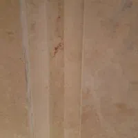 باند نو کوبا