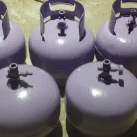 پیک نیک