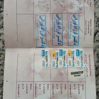 فروش سگ خانگی|سگ|شاهرود, |دیوار