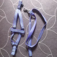 قلاده در حد نو