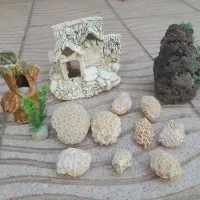 تعدادی سنگ تزئینی آکواریوم