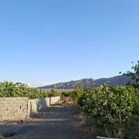 باغ و زمین پای کوه اندیس(هندس)