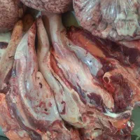 گوشت صورت کله زبان مغز گوساله|خوردنی و آشامیدنی|تهران, نظامی گنجوی (توانیر)|دیوار