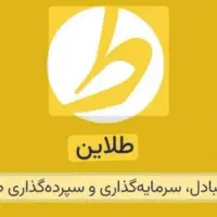 درآمد تضمینی