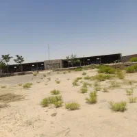 گاوداری ۶۰ راسی، قوژد، پشت مرغداری آقای حاتمی نژاد