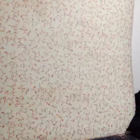 دوعددتشک طبی فنری سالم|تشک تختخواب|گلبهار, شهر جدید گلبهار|دیوار