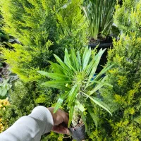 گلخانه خوش قیمت