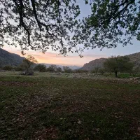 زمین-تجاری-دشت-روم-سر-اتوبان