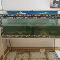 آکواریوم بزرگ شیشه ضخیم