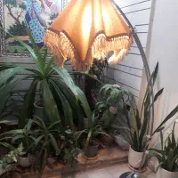 چراغ خواب سالم ودو عدد سریچراغ خواب