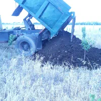کود حیوانی کهنه