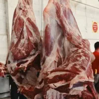 گوشت هاشی و گوساله گوسفند