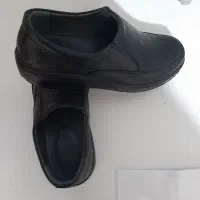 کفش مردانه|کیف، کفش، کمربند|تهران, شهرک طالقانی|دیوار