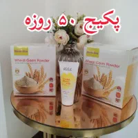 نمایندگی فروش جوانه گندم بین استار تکی وعمده|خوردنی و آشامیدنی|اصفهان, تیران|دیوار