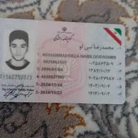 مدارک پیدا شده خیابان خیام