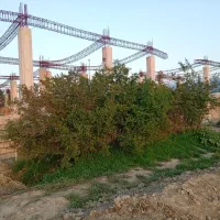 زمین-داخل-بافت