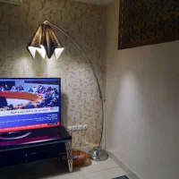 اباژول تزیینی