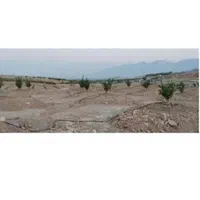 باغچه باغ مقصودآباد جهرم|فروش دفتر صنعتی، کشاورزی، تجاری|جهرم, |دیوار