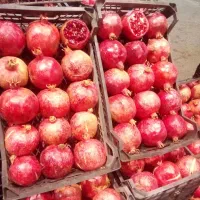 تهیه میوه تره بار از میدان تهران|خدمات پذیرایی، مراسم|لنگرود, |دیوار