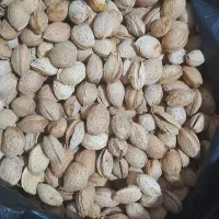 بادام پوست کاغذی