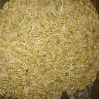 جو‌‌مناسب‌برای‌تخم