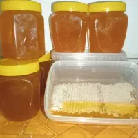 عسل درمانی طبیعی 100٪ ارگانیک