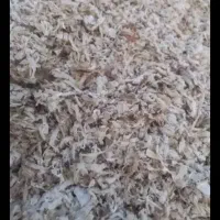 تفاله چغندر قند|عمده‌فروشی|قیدار, |دیوار