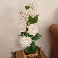 گلدان