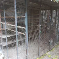 گنجه کفتر|لوازم جانبی حیوانات|تهران, قیام|دیوار