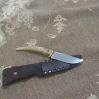 چاقو خوش دست|کوهنوردی و کمپینگ|آزادشهر, |دیوار