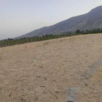 1400متر زمین قیمت استثناعی|فروش زمین و ملک کلنگی|شیراز, کوشک بیدک|دیوار