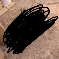 مرغ گلین|حیوانات مزرعه|اشکذر, |دیوار