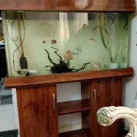 آکواریوم شیشه خم کمد دار