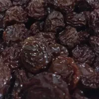 آلوچه مجلسی خشک ارگانیک مراغه
