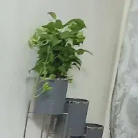 استند گلدان