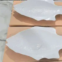 دیس ماهی شکل