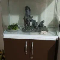 آکواریوم درحدنو|ماهی|کاشان, شهرک خاتم الانبیا (مسکن ملی کاشان)|دیوار