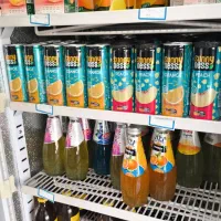 فروش انواع آبمیوهای سانی نس و چی لایف