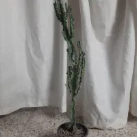 گل و گلدان زیبا