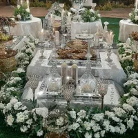 سفره عقد نگین|خدمات پذیرایی، مراسم|تهران, پرواز|دیوار